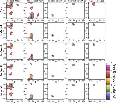 Comparative Structural Dynamics of Isoforms of Helicobacter pylori Adhesin BabA Bound to Lewis b Hexasaccharide via Multiple Replica Molecular Dynamics Simulations